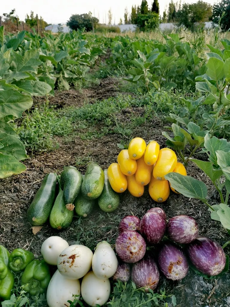 Le Bon, La Blette et le Burger Restaurant in Ponteilla