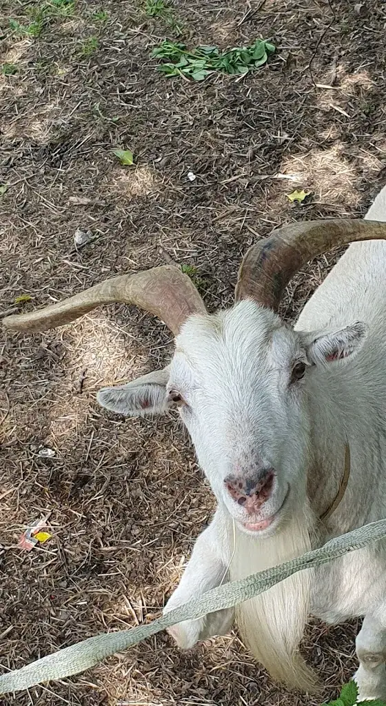 Caroline M_L'ESCAPADE DE JOS_Pont-de-Salars_review