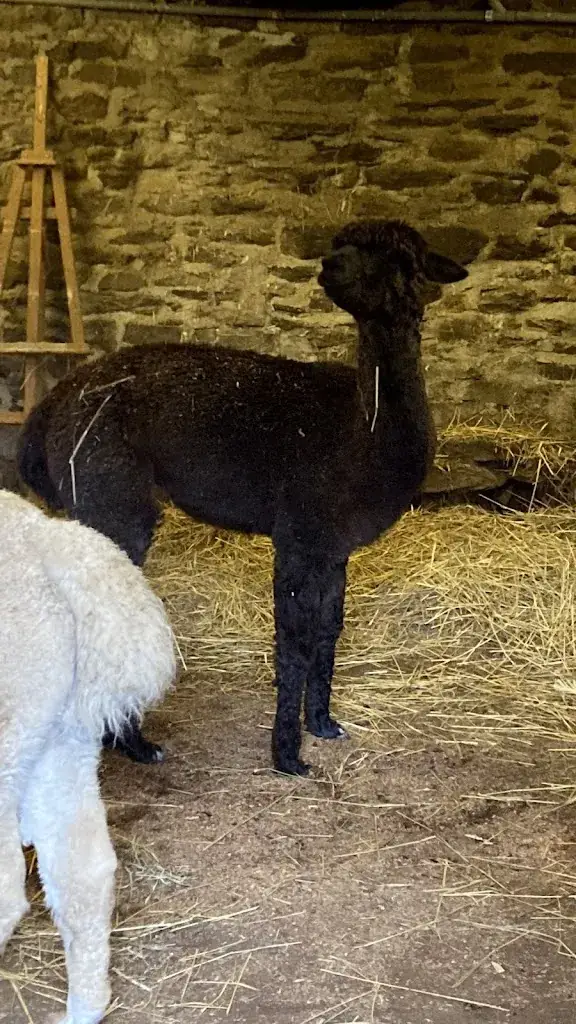 Sargès Lea_L'ESCAPADE DE JOS_Pont-de-Salars_review