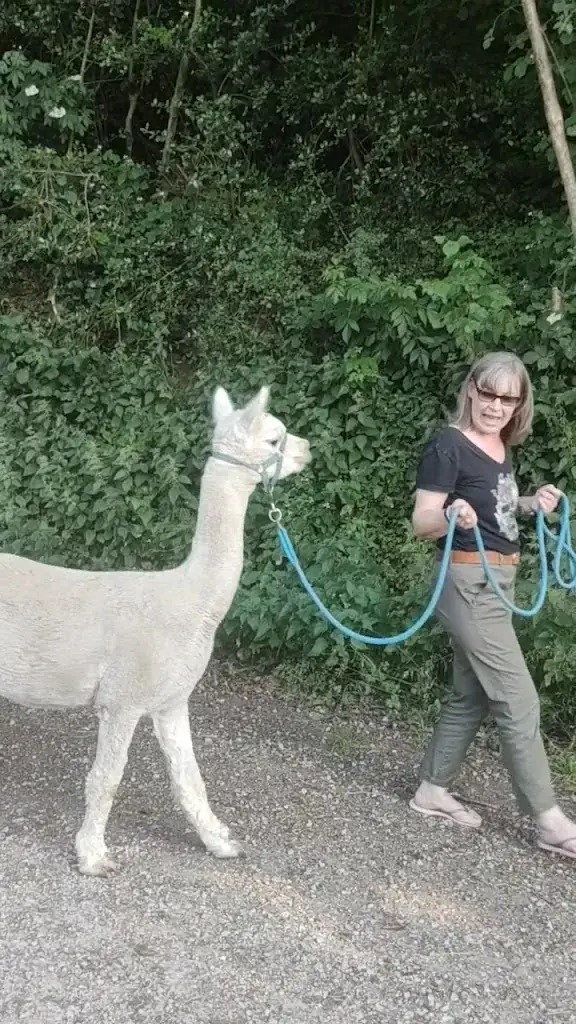 L'ESCAPADE DE JOS_Pont-de-Salars_slider_image_2