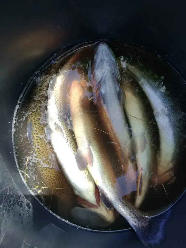 Menu_Les Moulins du Bouchat_Mazet-Saint-Voy_immagine_4