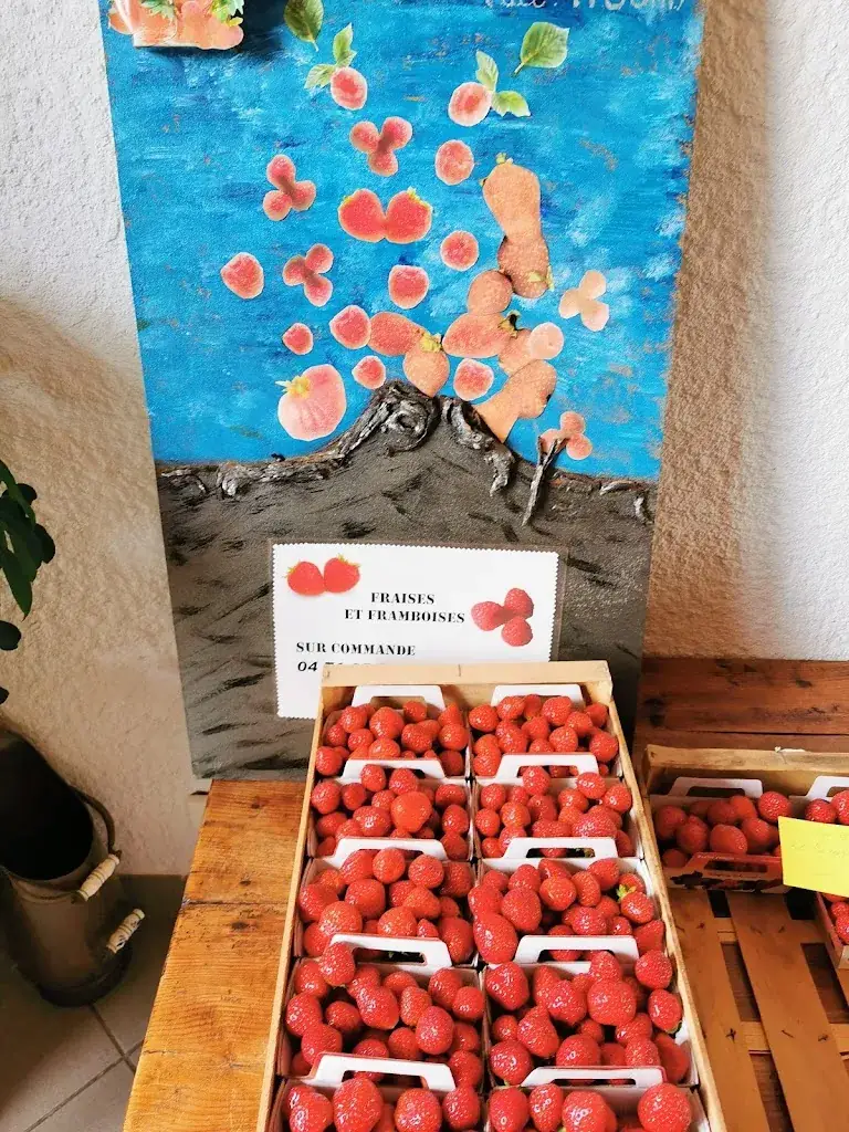 Menu_Les Moulins du Bouchat_Mazet-Saint-Voy_immagine_7