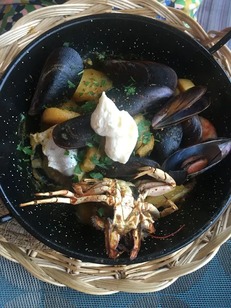 marius bompa_Le chant du poulpe_Port-Vendres_review