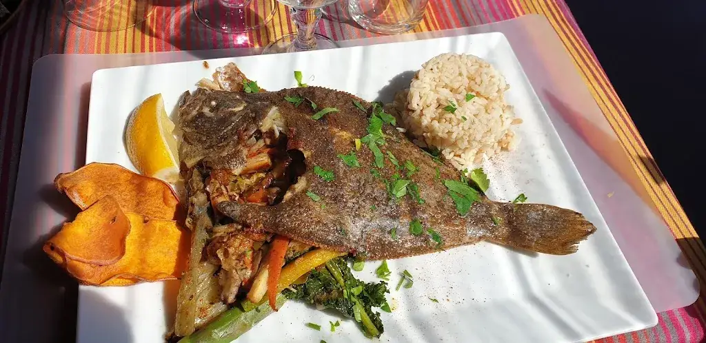 Margot.66_Le chant du poulpe_Port-Vendres_review