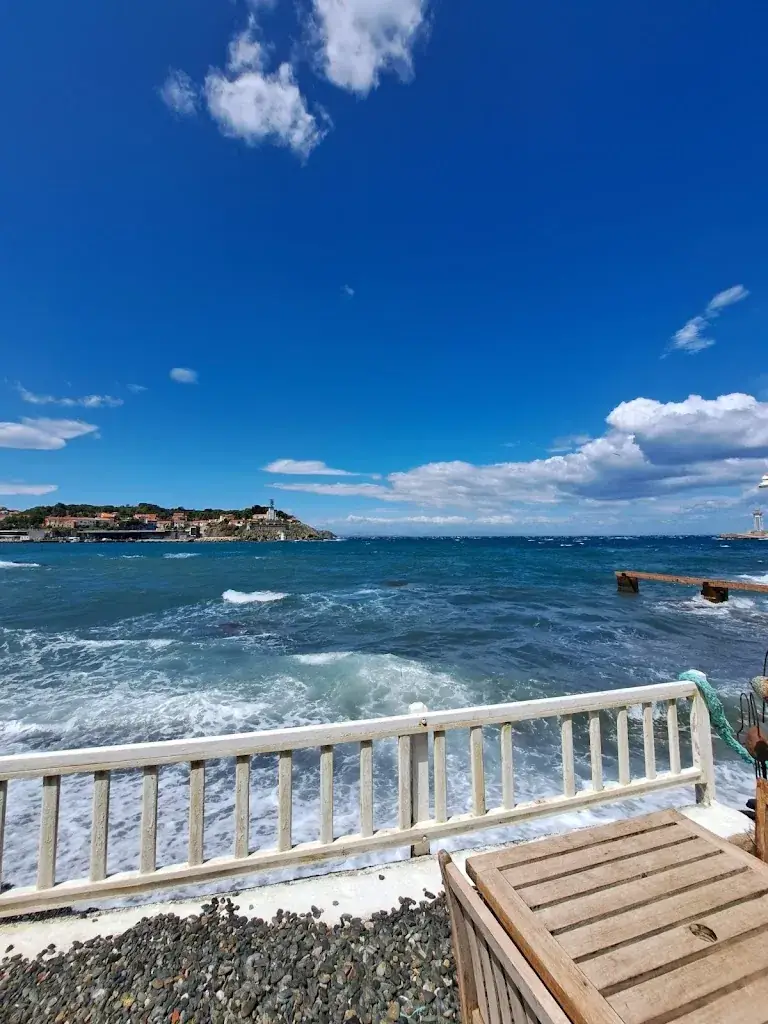 Clara_Le Poisson Rouge_Port-Vendres_recensione