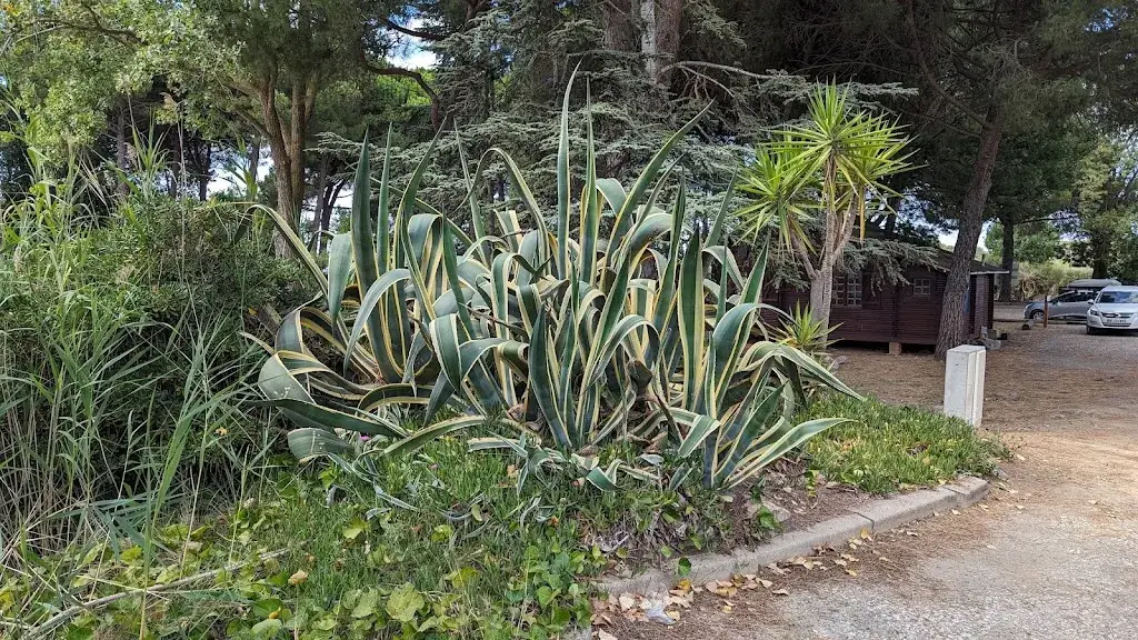 Jnib_Au rendez-vous des bateliers_Portiragnes_review