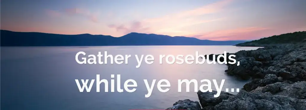 Carmel McHugh_Sous Les Pains_Portiragnes_review