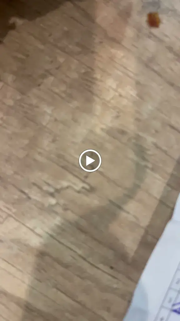 Délice de liège_Pont-Saint-Esprit_slider_image_2