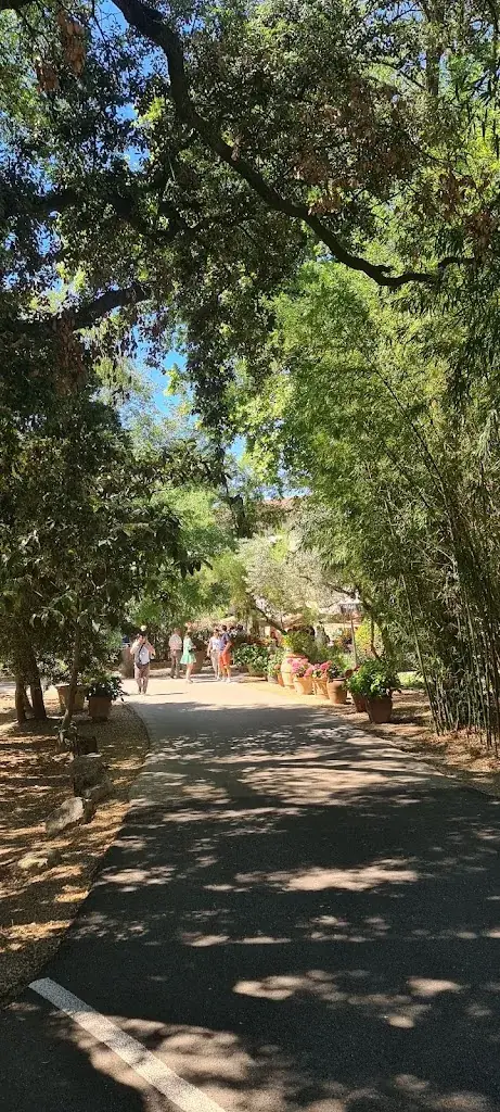 Austin Joseph (Barracuda88)_Restaurant Les Tourelles_Lamotte-du-Rhône_reseña