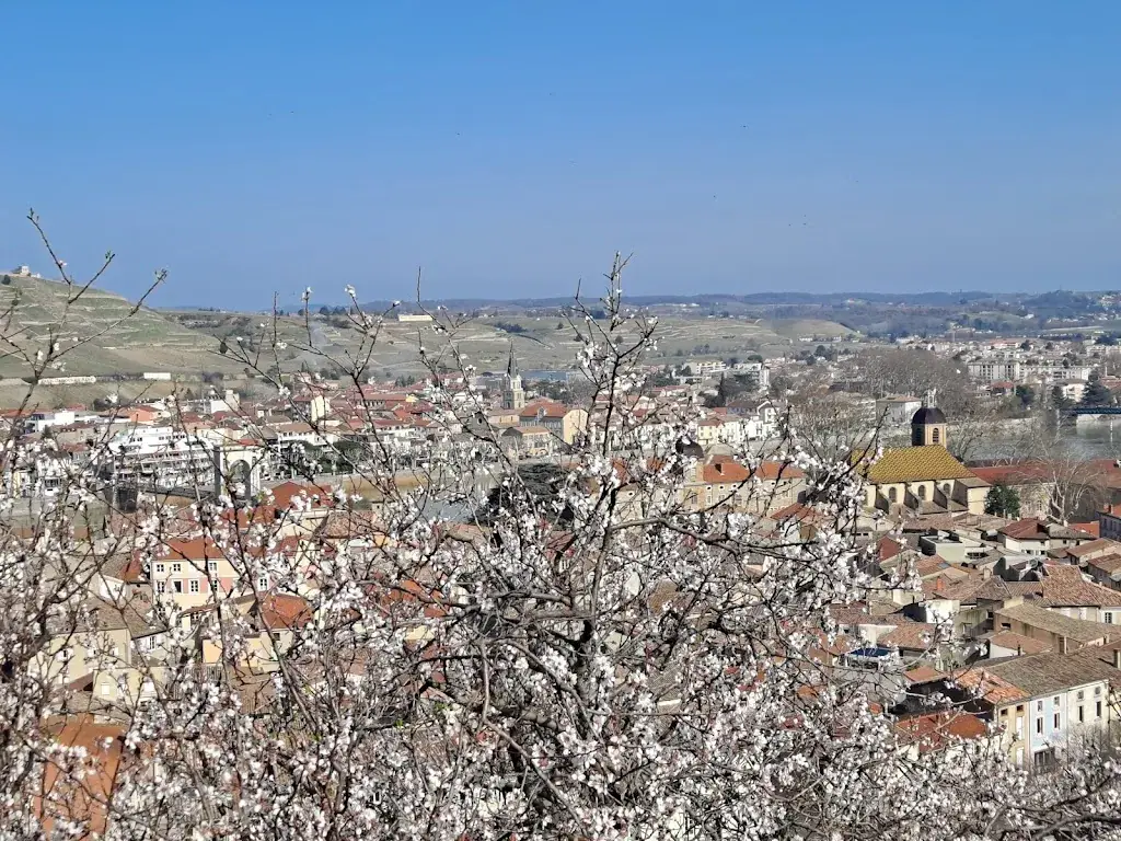 mi pi_Kélonia restaurant_Tournon-sur-Rhône_recensione