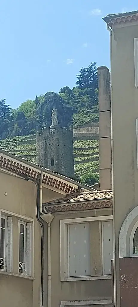 Jean.pierre Seguin_Kélonia restaurant_Tournon-sur-Rhône_recensione