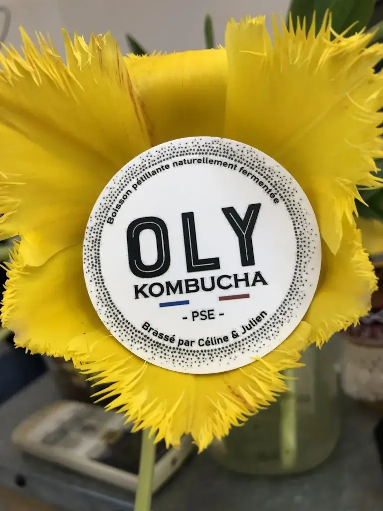 OLY KOMBUCHA_Pont-Saint-Esprit_slider_image_3