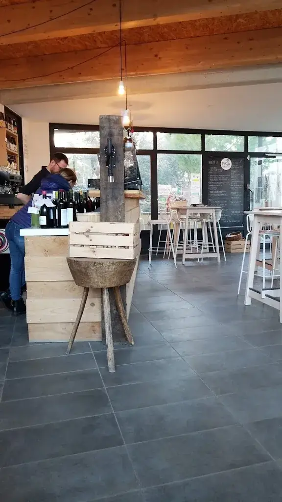 Richard McConnell_Picamandil_Puissalicon_review