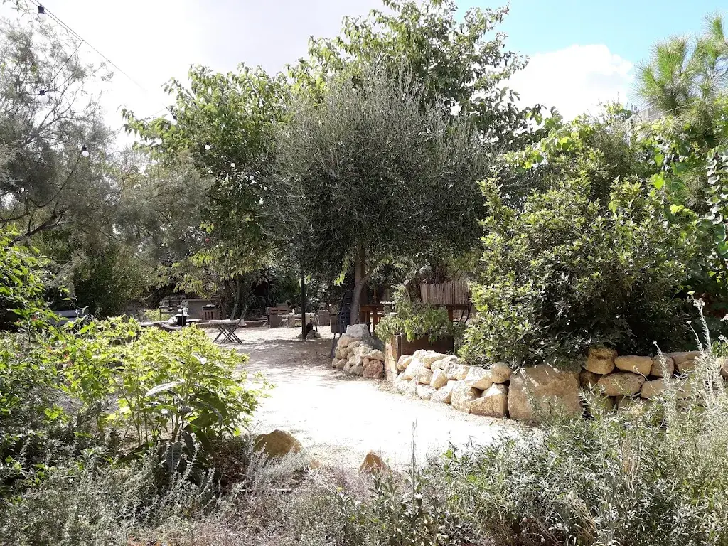 Kerry Latchford_Picamandil_Puissalicon_review