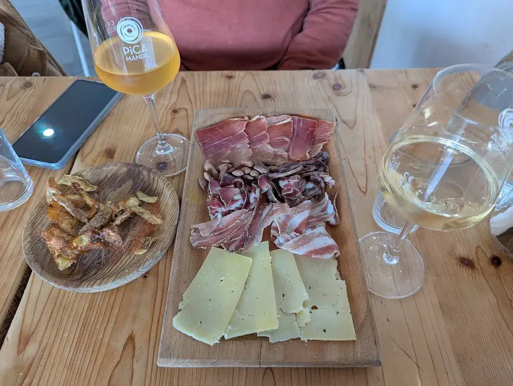 Picamandil_Puissalicon_slider_image_2