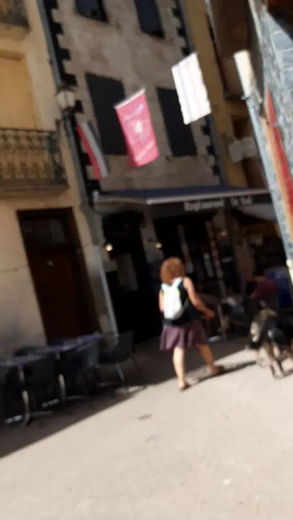 Restaurant, Snack Le Sud_Prats-de-Mollo-la-Preste_slider_image_2