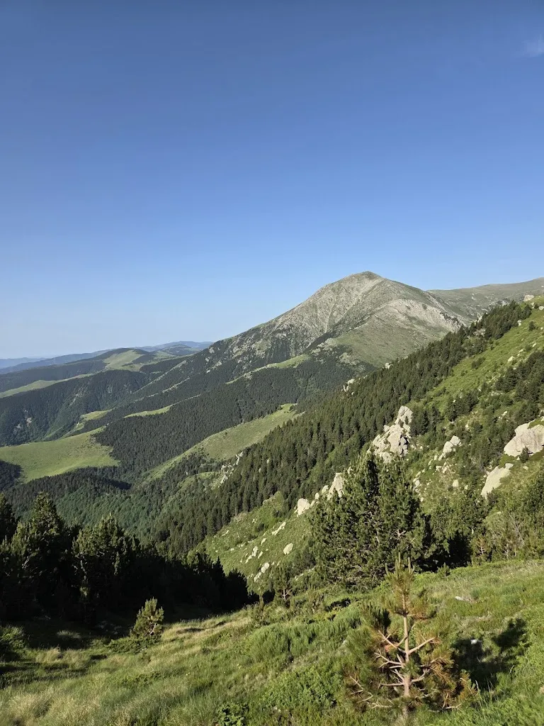 Sonia Manceau_Refuge Les Conques_Prats-de-Mollo-la-Preste_review