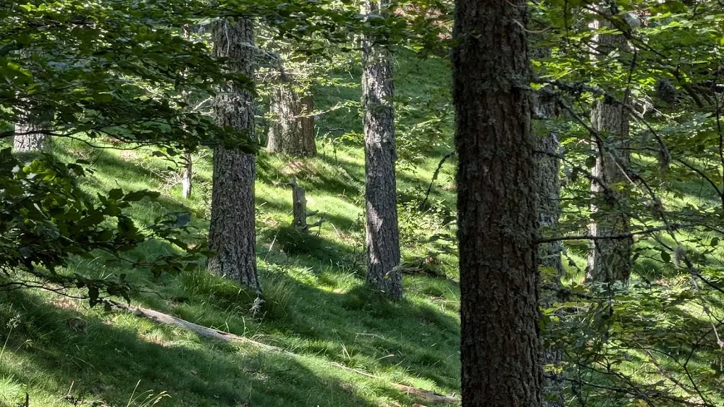 Pierrot Jeannot_Refuge Les Conques_Prats-de-Mollo-la-Preste_review