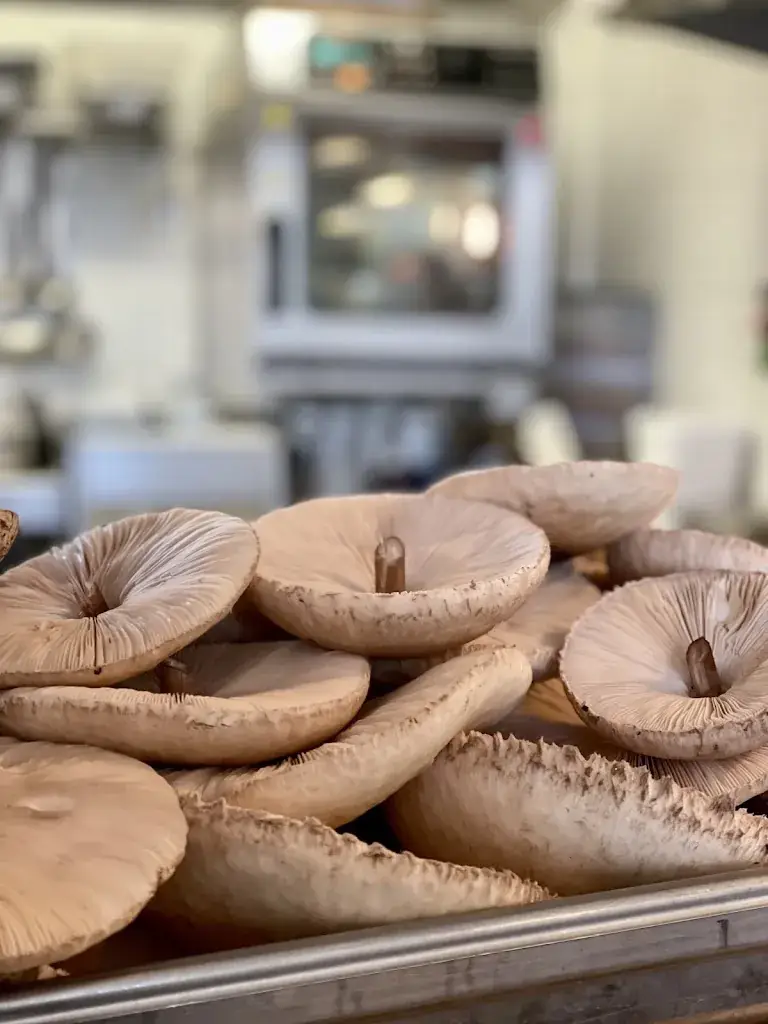 Menu_Les Dodus_Puy-l'Évêque_image_6