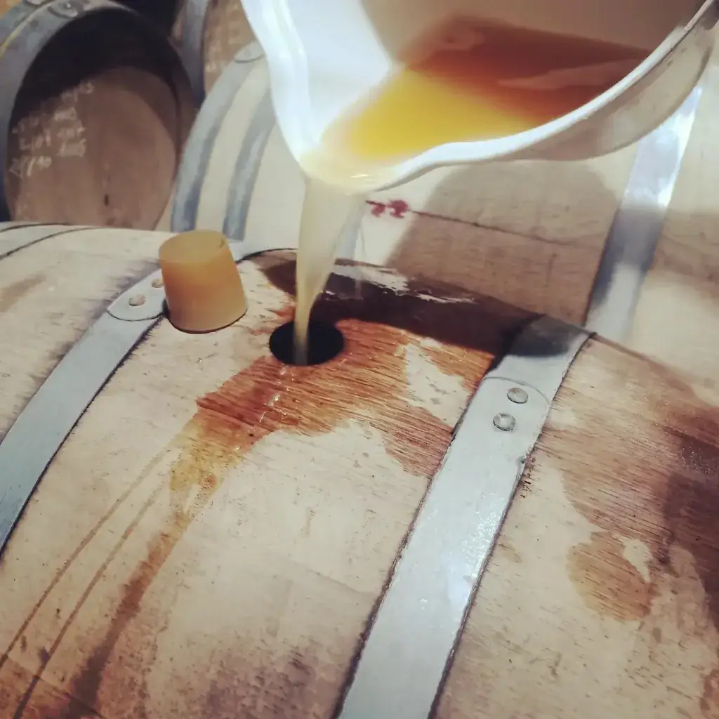 Menu_Homo Sapiens Xpérience_Prayssac_image_3