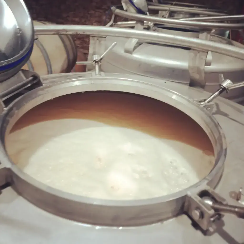 Menu_Homo Sapiens Xpérience_Prayssac_image_4