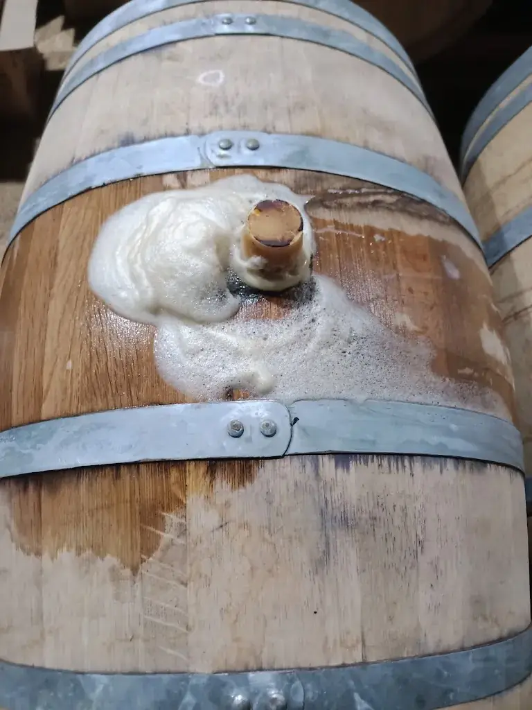 Homo Sapiens Xpérience_Prayssac_slider_image_2