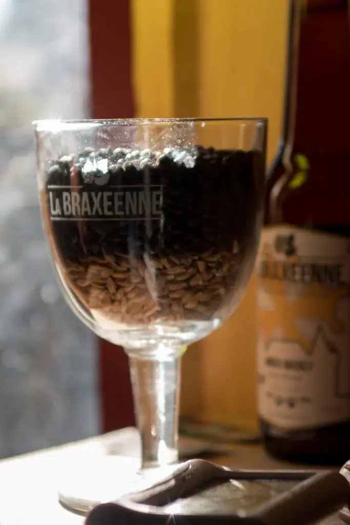 Menu_La Braxéenne - Microbrasserie Artisanale_Pujaudran_image_4