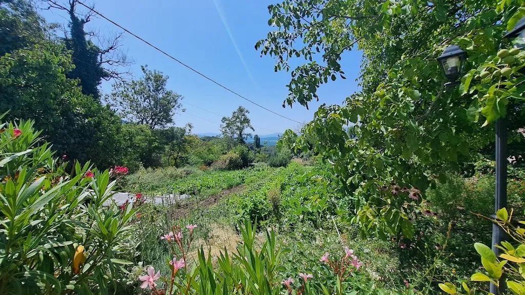 Fabrice LASSERE_Ferme Auberge 