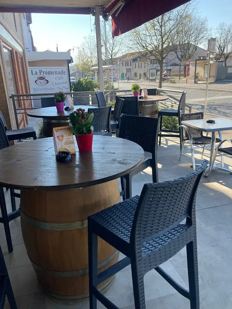 Le Bellevue ristorante a Puylaurens