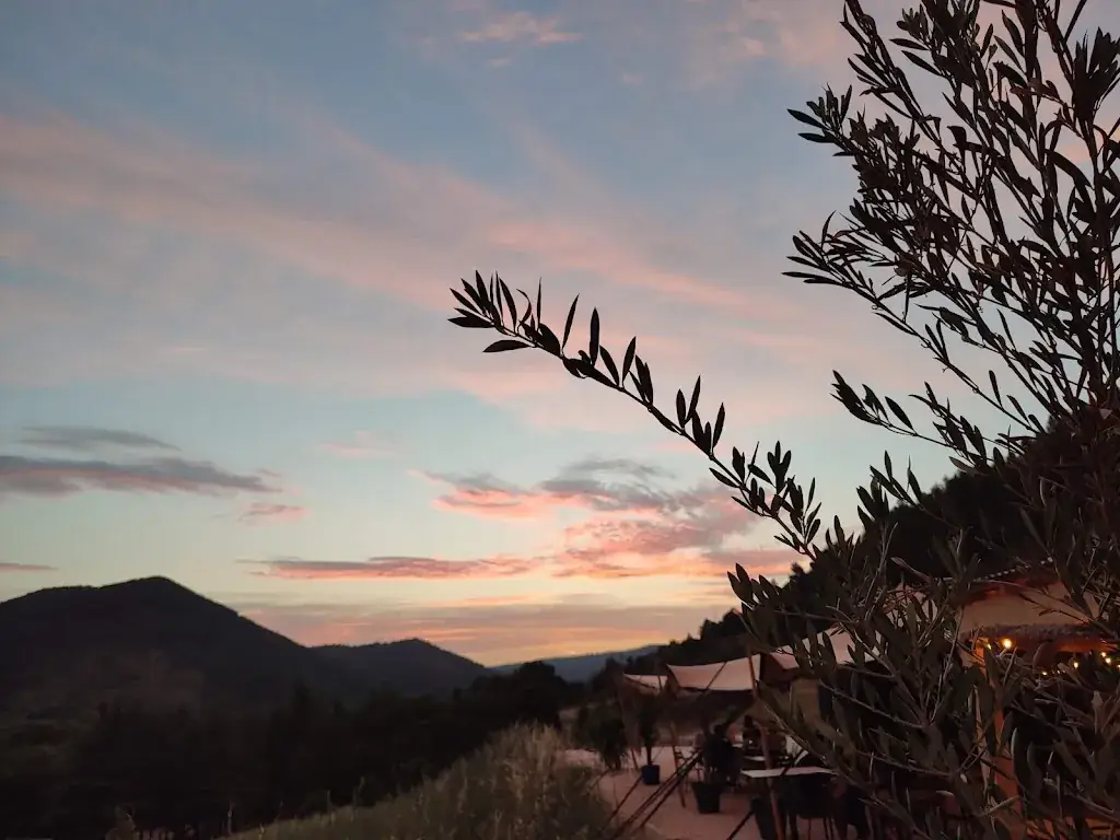 Liz Coleman_La terazza_Quillan_review