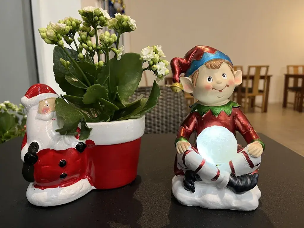 Le Roi du Falafel_Quillan_slider_image_2