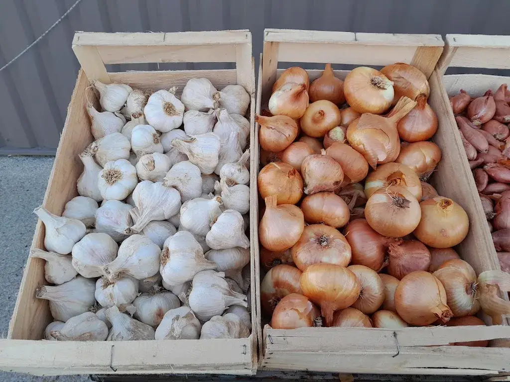 Cahute de bel air_Réalville_slider_image_3