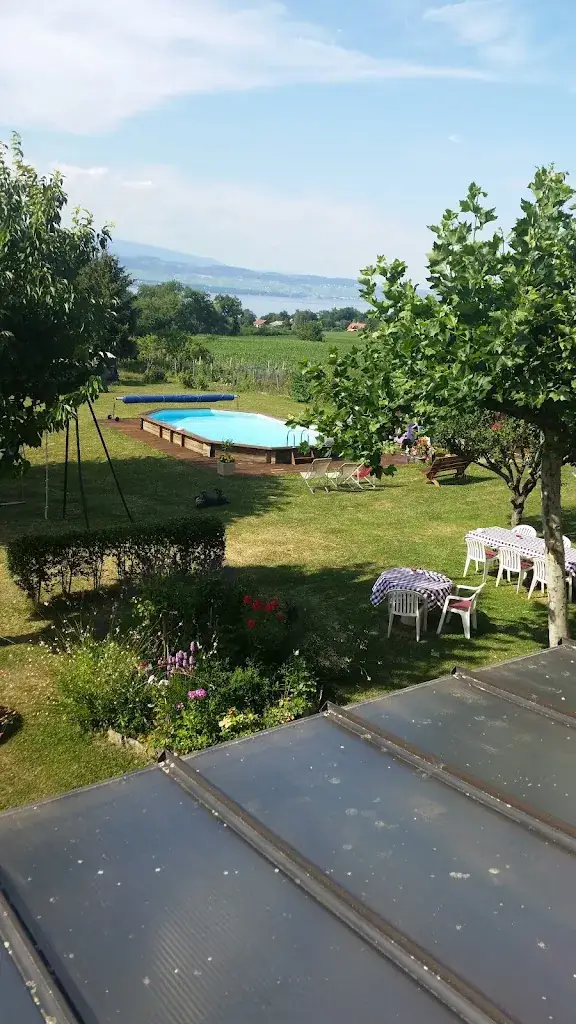 Iris Griesheimer_Les Troënes_Messery_review