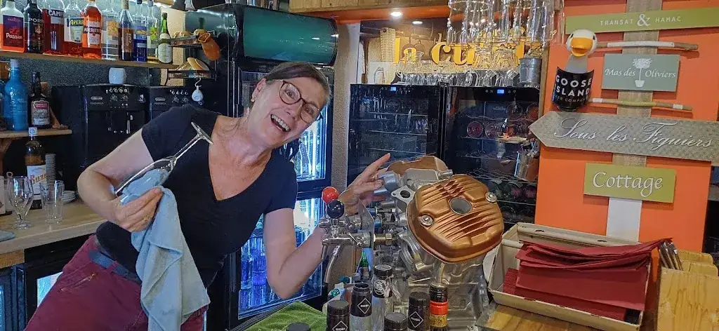 Roman Schwager_La Patte d'Oie_Rieumes_review