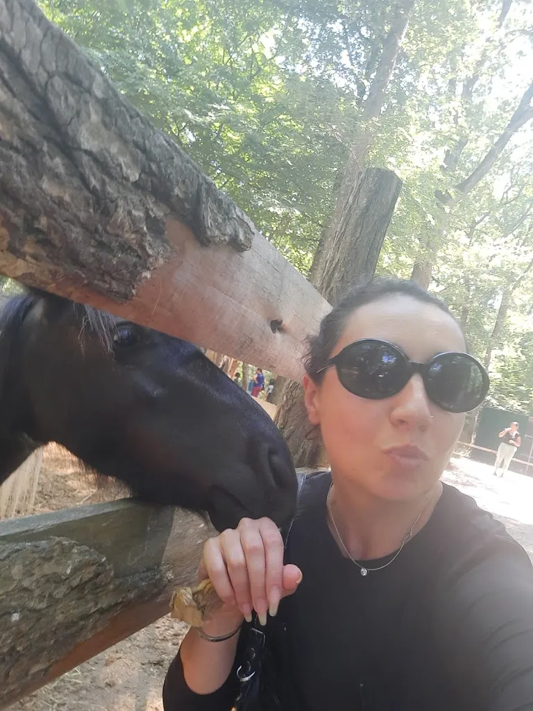 ivelina ivanova_La Ferme Du Paradis_Rieumes_review