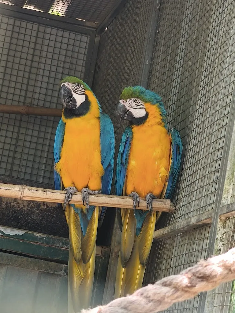 Evan DESMARE_La Ferme Du Paradis_Rieumes_review