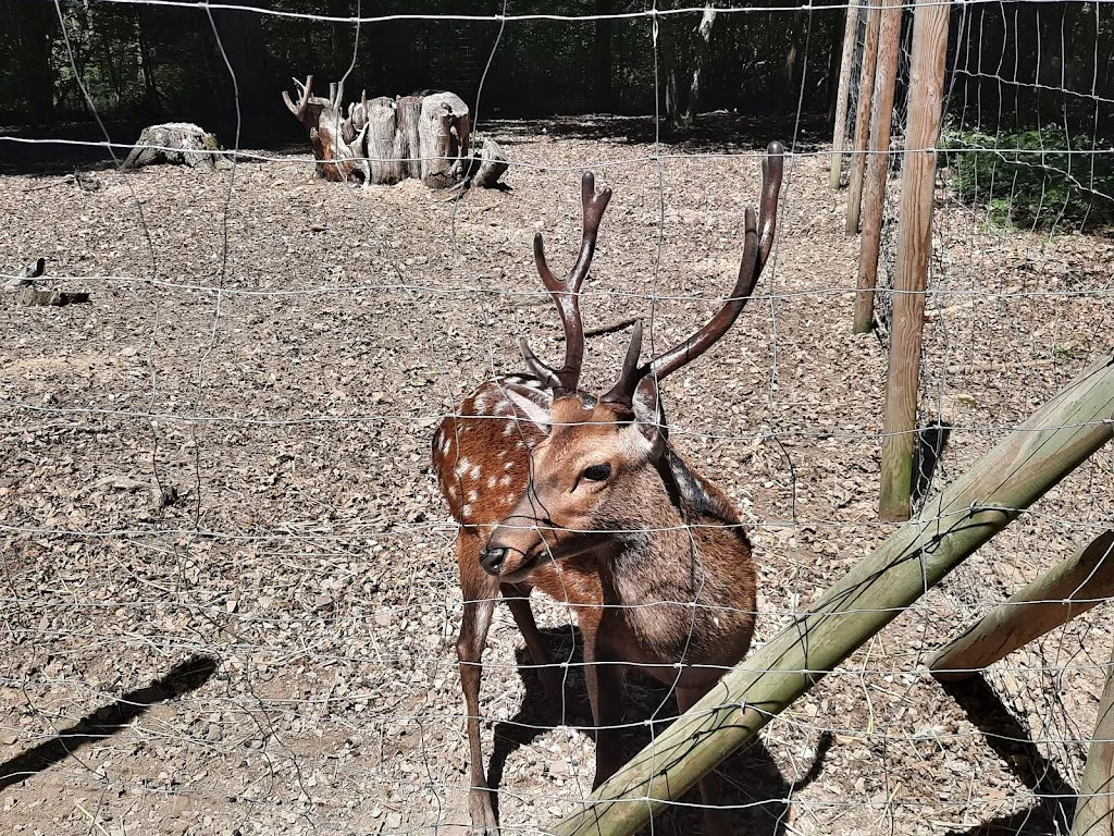 La Ferme Du Paradis_Rieumes_slider_image_1