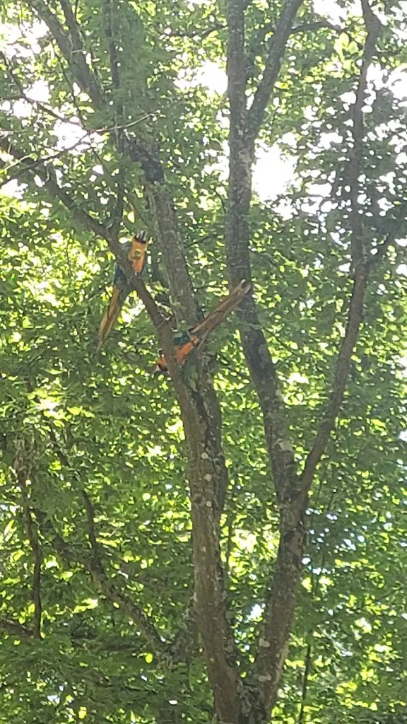 La Ferme Du Paradis_Rieumes_slider_image_2