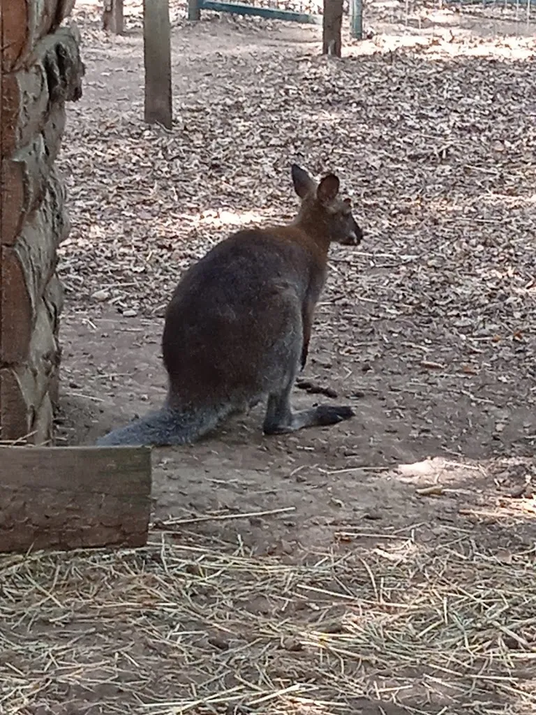 La Ferme Du Paradis_Rieumes_slider_image_3