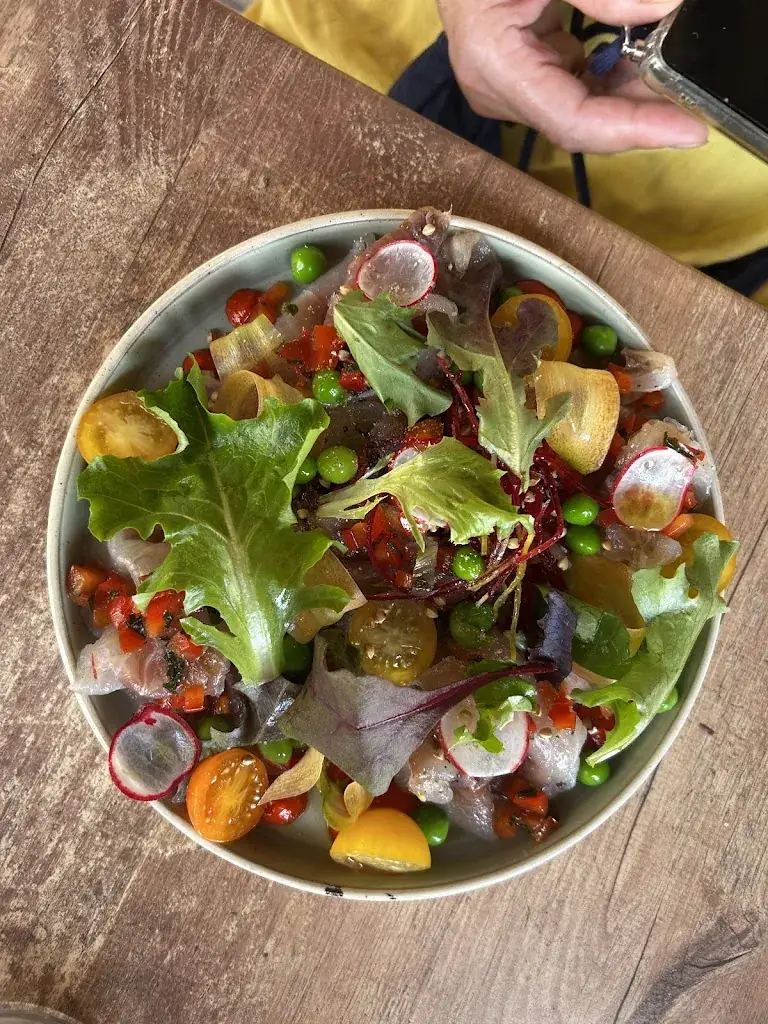 Jessica Peduzzi-Rat_La Coquille_Revel_review