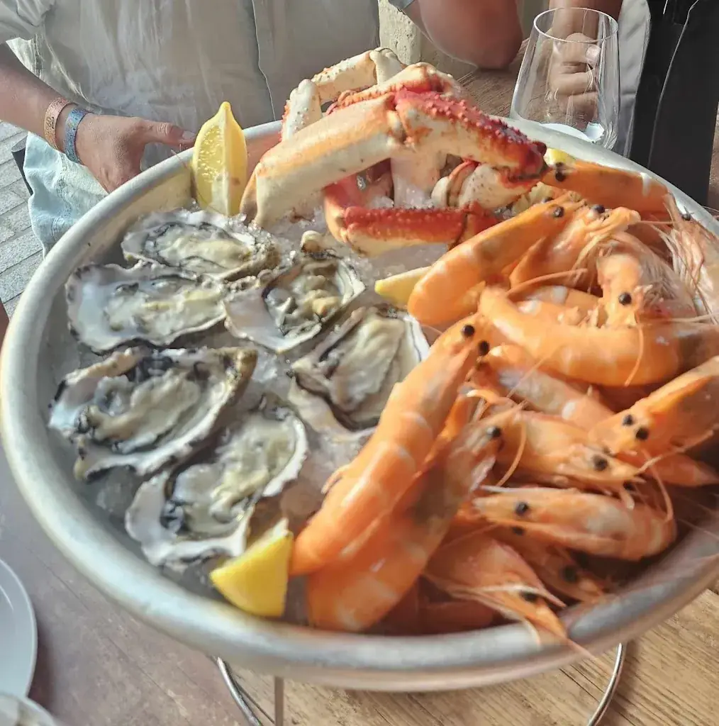 Miguel DE SOUSA FERNANDES_La Coquille_Revel_review