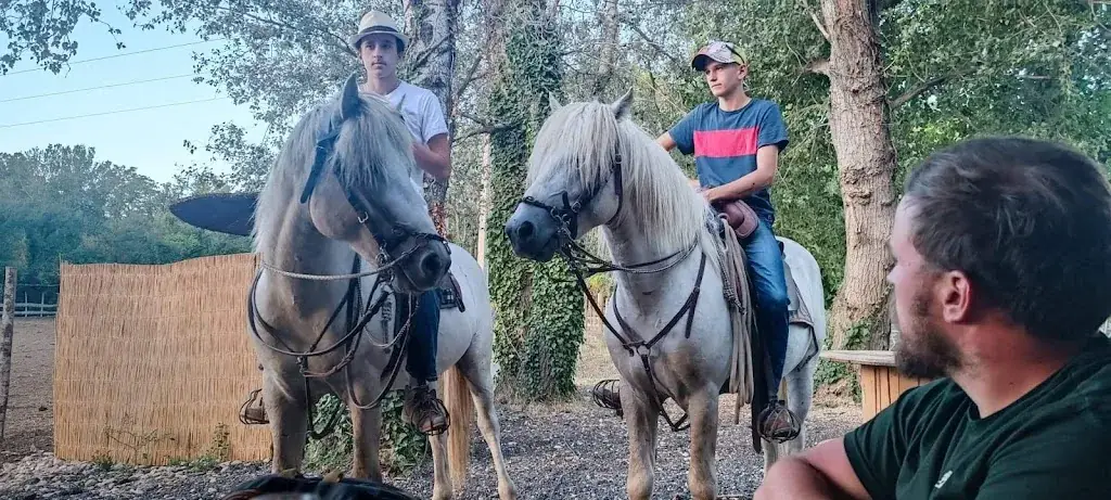 Romain “Moustache” Duret_Manade Des Chardons - Restaurant 