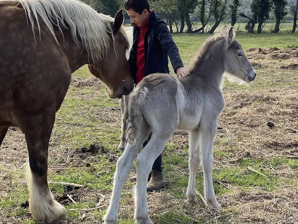 louis chardon_Manade Des Chardons - Restaurant 