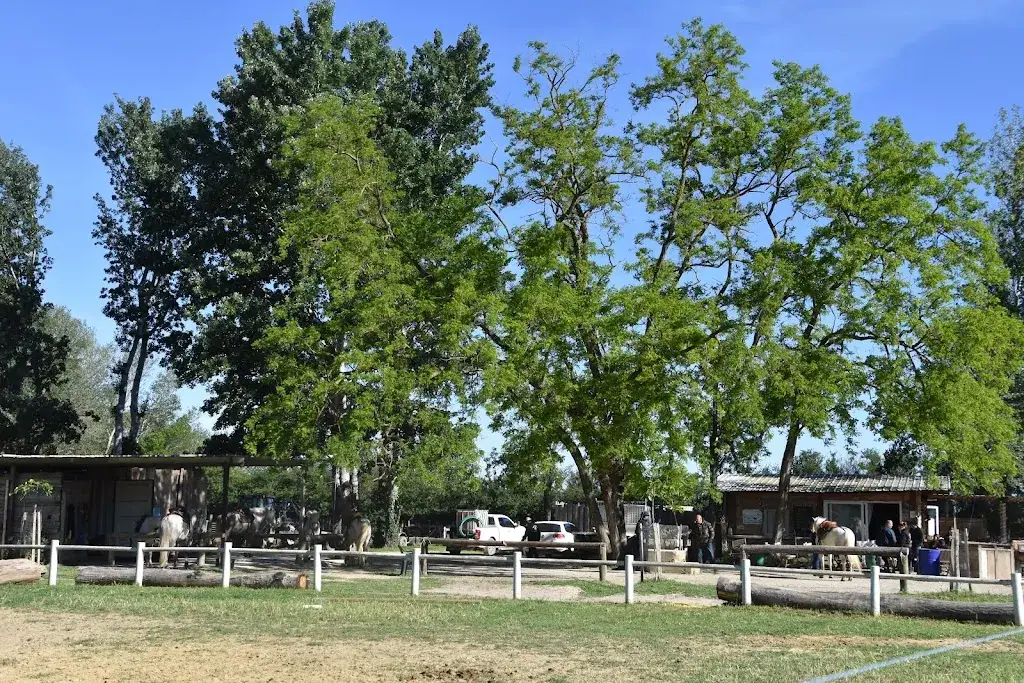 Manade Des Chardons - Restaurant "La Cabane du Gardian" restaurant in Roquemaure