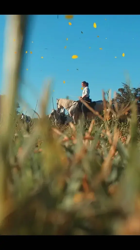 Manade Des Chardons - Restaurant 
