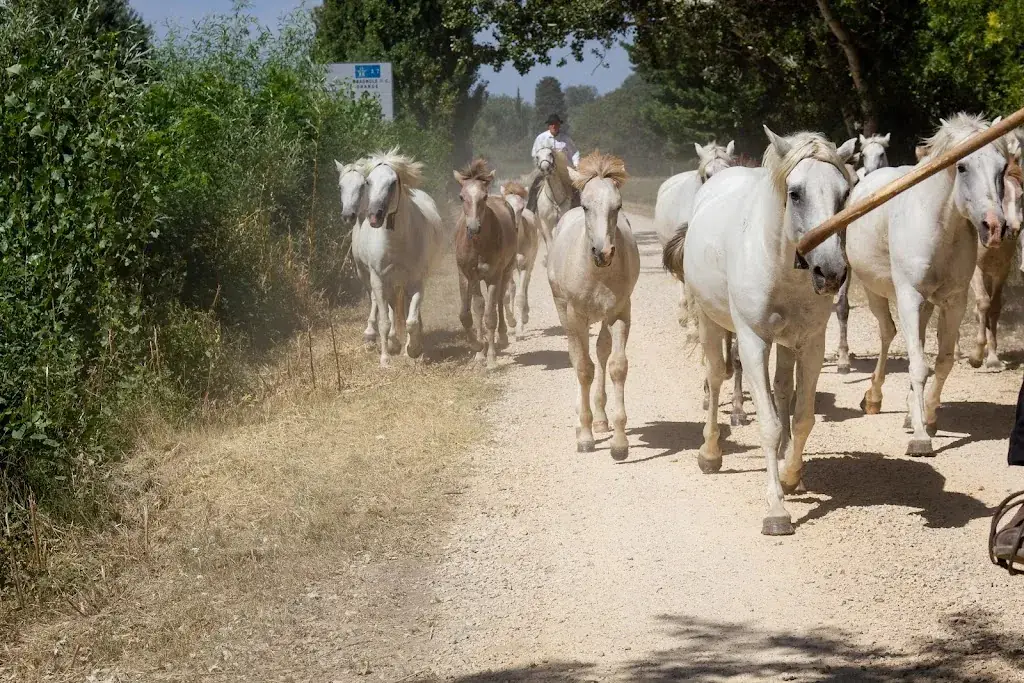 Manade Des Chardons - Restaurant 
