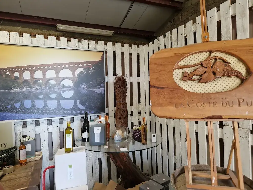 Romain Favier_Domaine la Coste du Puy_Roquemaure_review