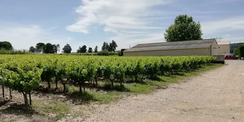 Domaine la Coste du Puy_Roquemaure_slider_image_3