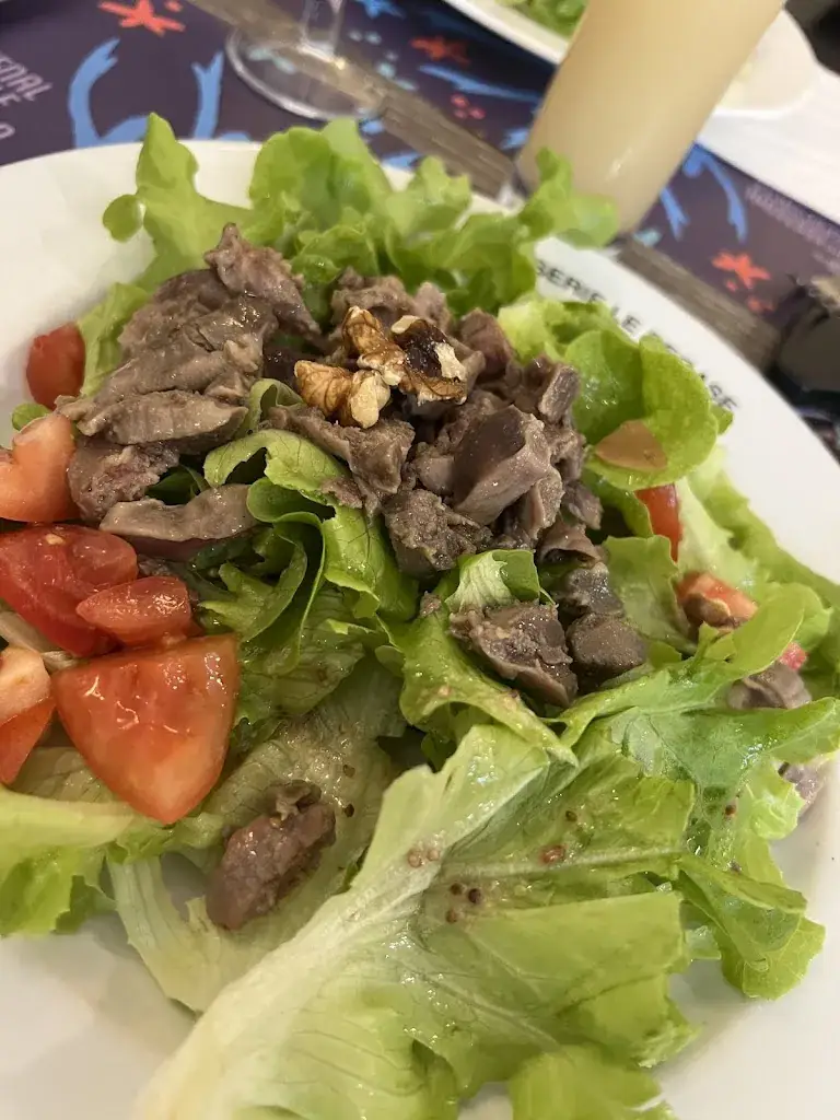 Romain Guidice_Le Pégase_Saint-Affrique_review