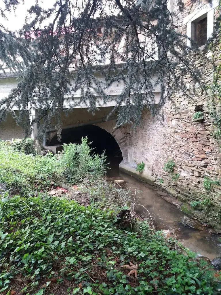 corinne vella_La Croix Blanche_Saint-Amans-Soult_review